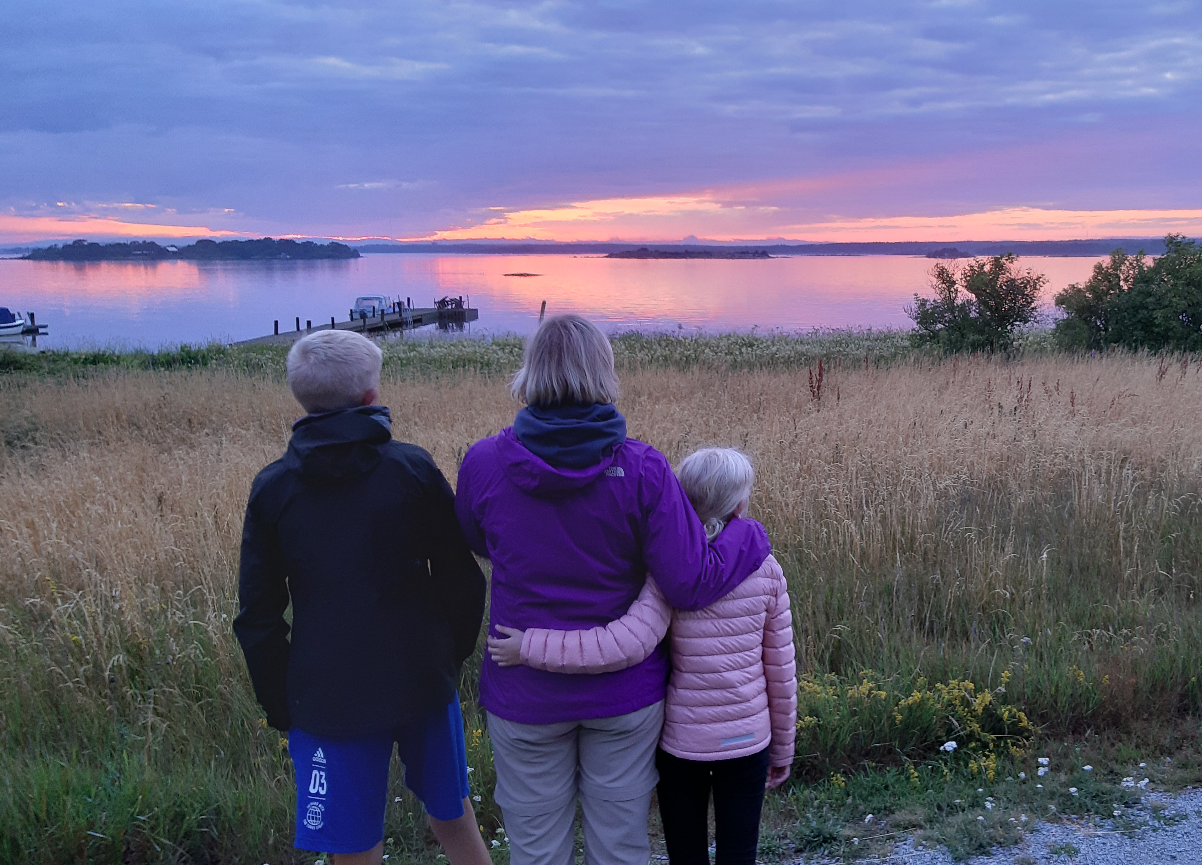 Scampi i solnedgång, juli 2019